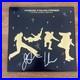5-SECONDS-OF-SUMMER-signed-vinyl-album-THE-FEELING-OF-FALLING-UPWARDS-01-vc