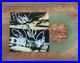ALL-AMERICAN-REJECTS-signed-vinyl-album-THE-CIGARETTE-SONG-COA-01-stv
