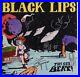 Black-Lips-JSA-Autograph-Signed-Album-Vinyl-Record-This-Sick-Beat-10-01-jjne