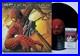 Danny-Elfman-Hand-Signed-Autographed-Spiderman-Vinyl-Album-Lp-jsa-Coa-01-bf