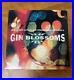 GIN-BLOSSOMS-signed-vinyl-album-CONGRATULATIONS-I-M-SORRY-2-01-vpb