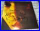 Lenny-Kravitz-Signed-Vinyl-Album-Let-Love-Rule-With-Proof-01-mjhx