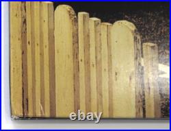 SILVERSUN PICKUPS All 4 signed NECK OF THE WOODS Vinyl Album LP a JSA COA