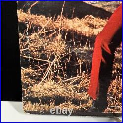 Tom Jones Autographed I (Who Have Nothing) Signed Vinyl Album COA HOLO